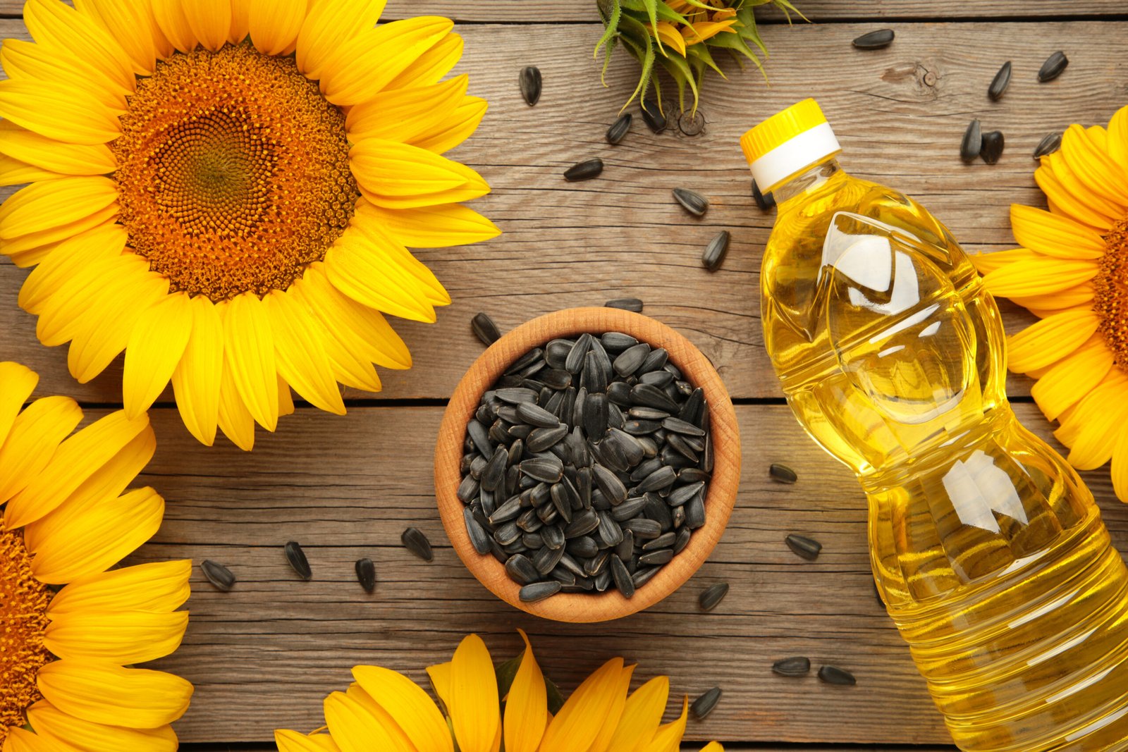 Sunflower Oil