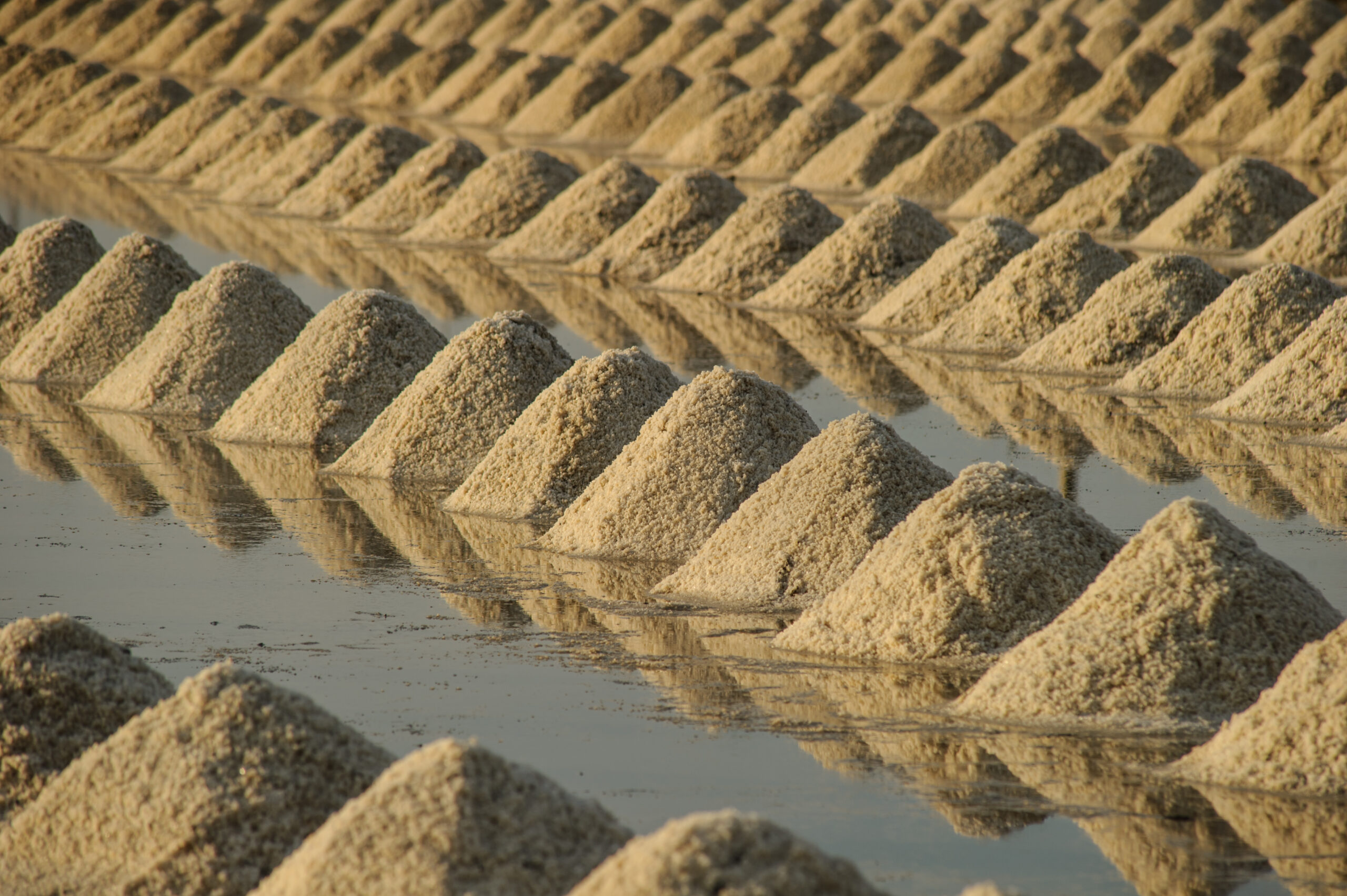 heap of sea salt in a field prepared for harvest