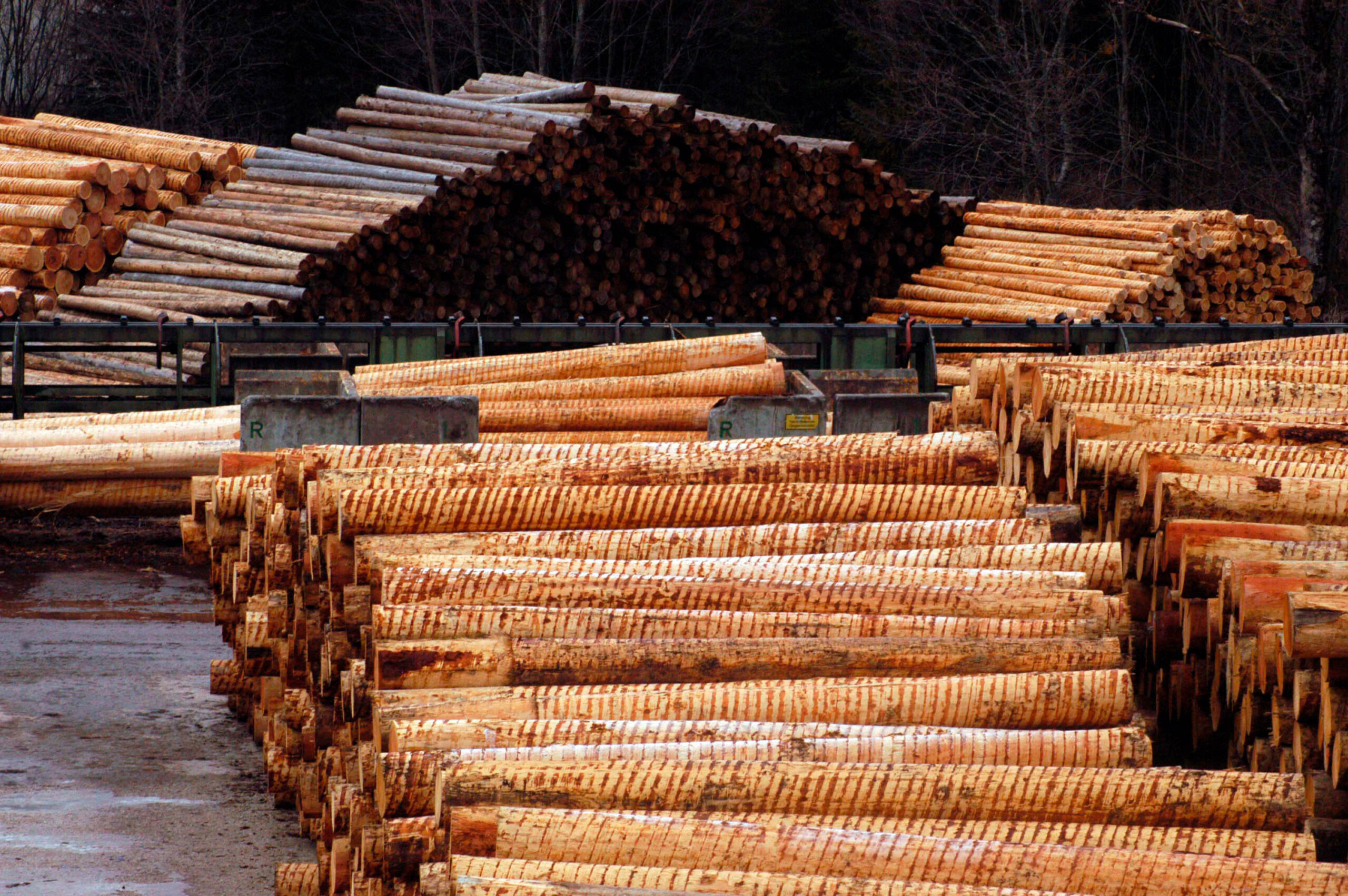 wood storage in the industry