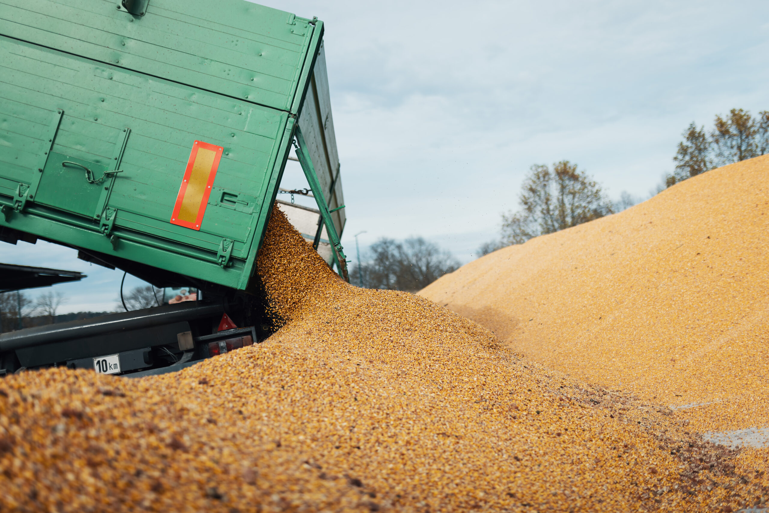 unloading corn from tractor