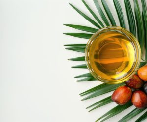 fresh palm oil fruit glass bowl white background